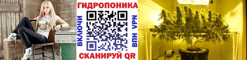 Шишки марихуана Bruce Banner  Тарко-Сале 